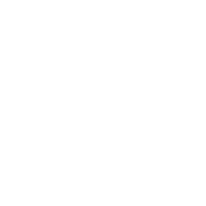 HCL Lyon