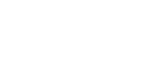 Université de Lyon